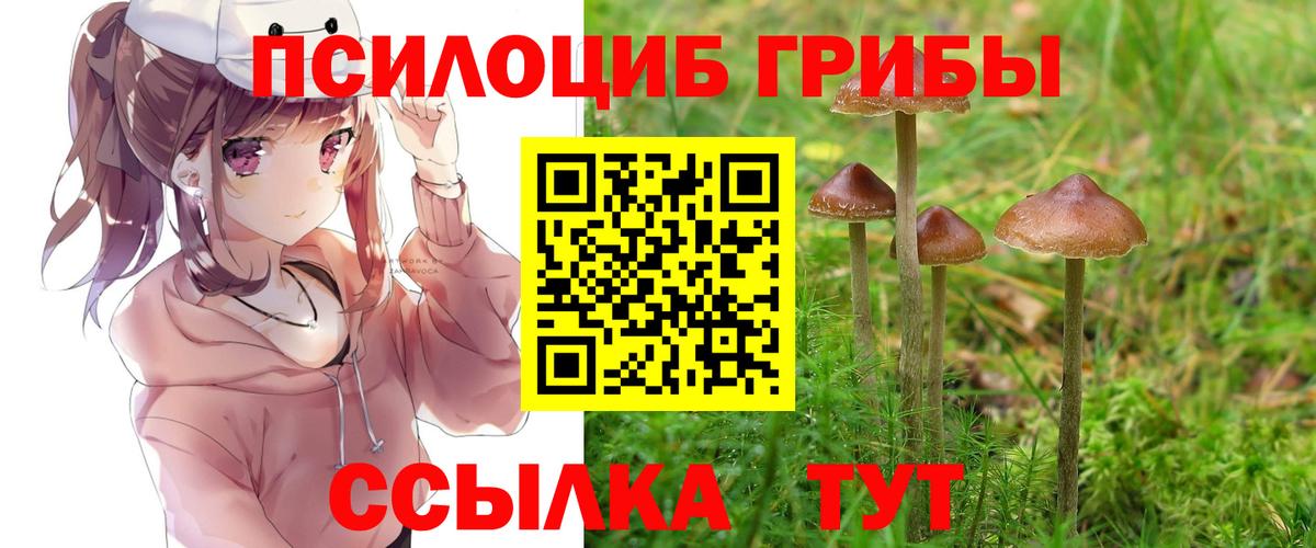 Галлюциногенные грибы Psilocybine cubensis  Вход с VPN  Аксай 